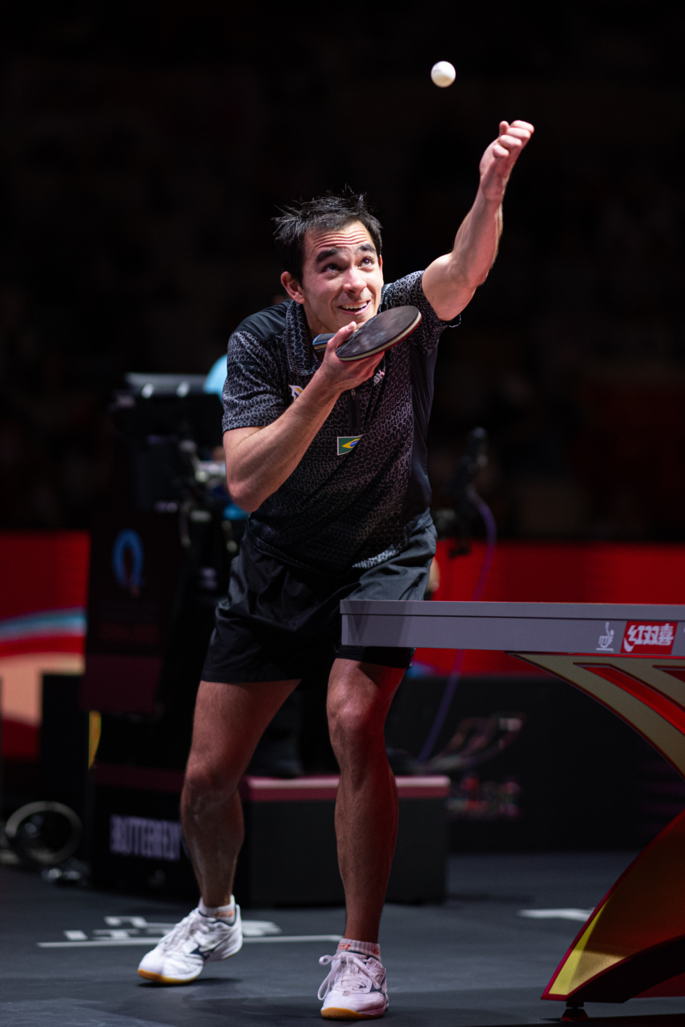 津门虎大逆 津门虎大逆