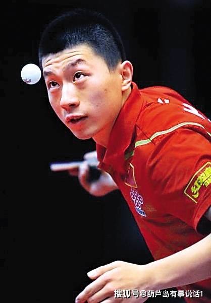 不仅展现了 不仅展现了