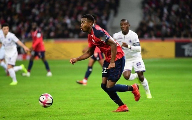 韧不拔精神 韧不拔精神