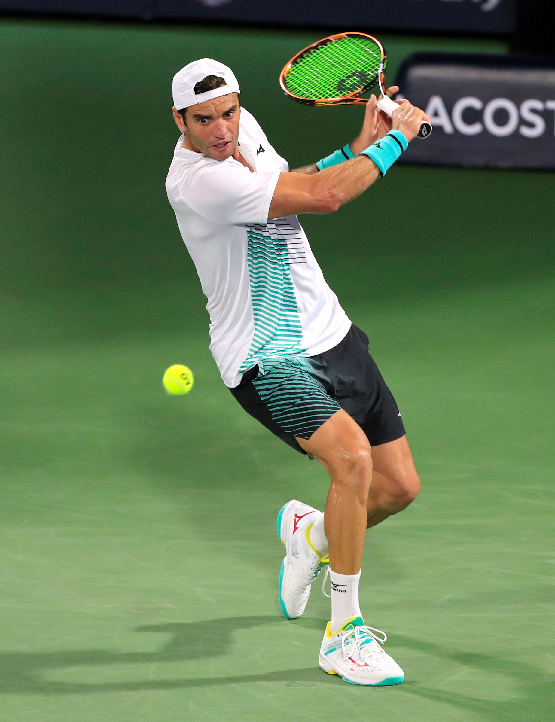 的世界里 的世界里