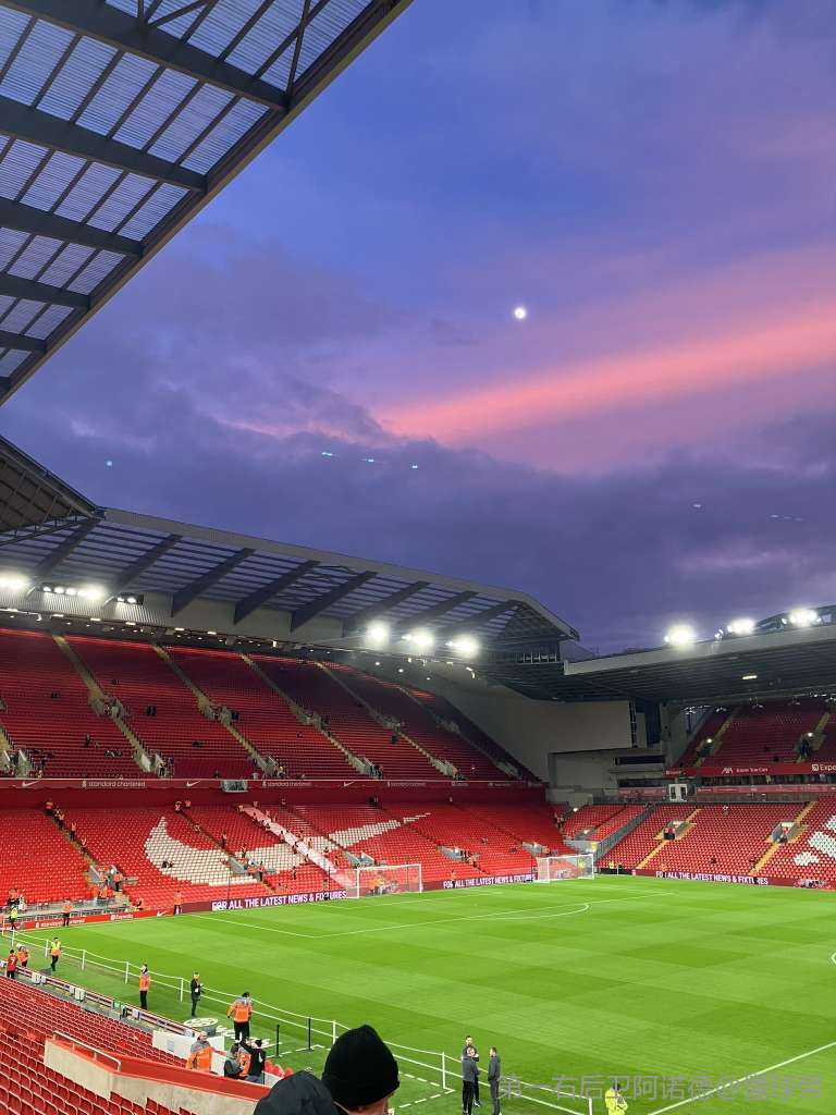 老手也能据 老手也能据